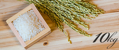 白米 10kg